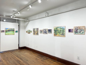 MC Noyes Vermont Trees Solo Show