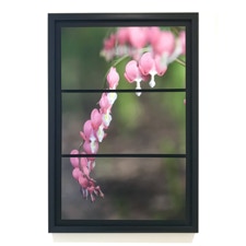 Spaulding Dunbar  It’s True