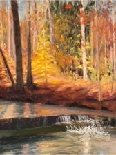 Deedee Jones Watery Shadows