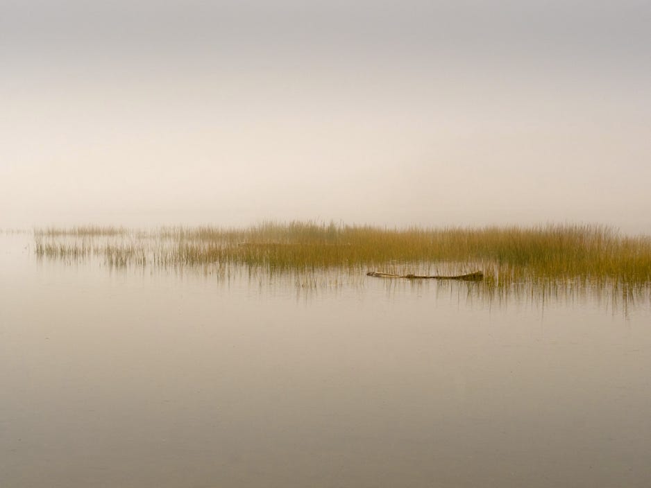 Kathy Carr Solitude 3