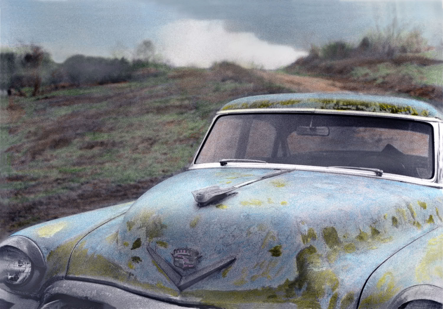 maurine-sutter_discovery