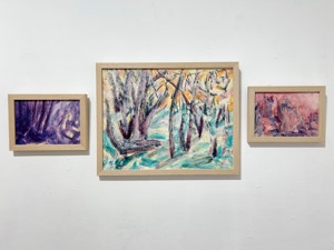 MC Noyes Vermont Trees Solo Show