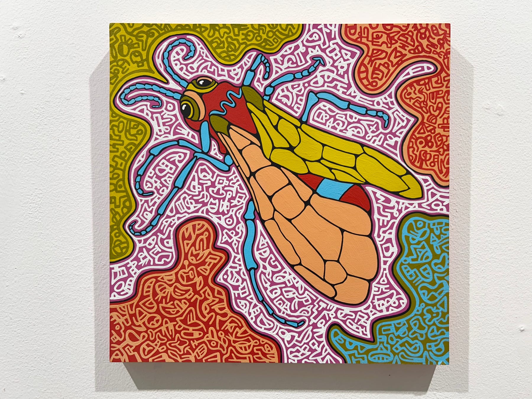 Mindy Fisher, Fly