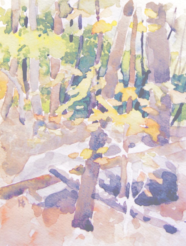 Norris-Brownvermont-woods-and-rock.