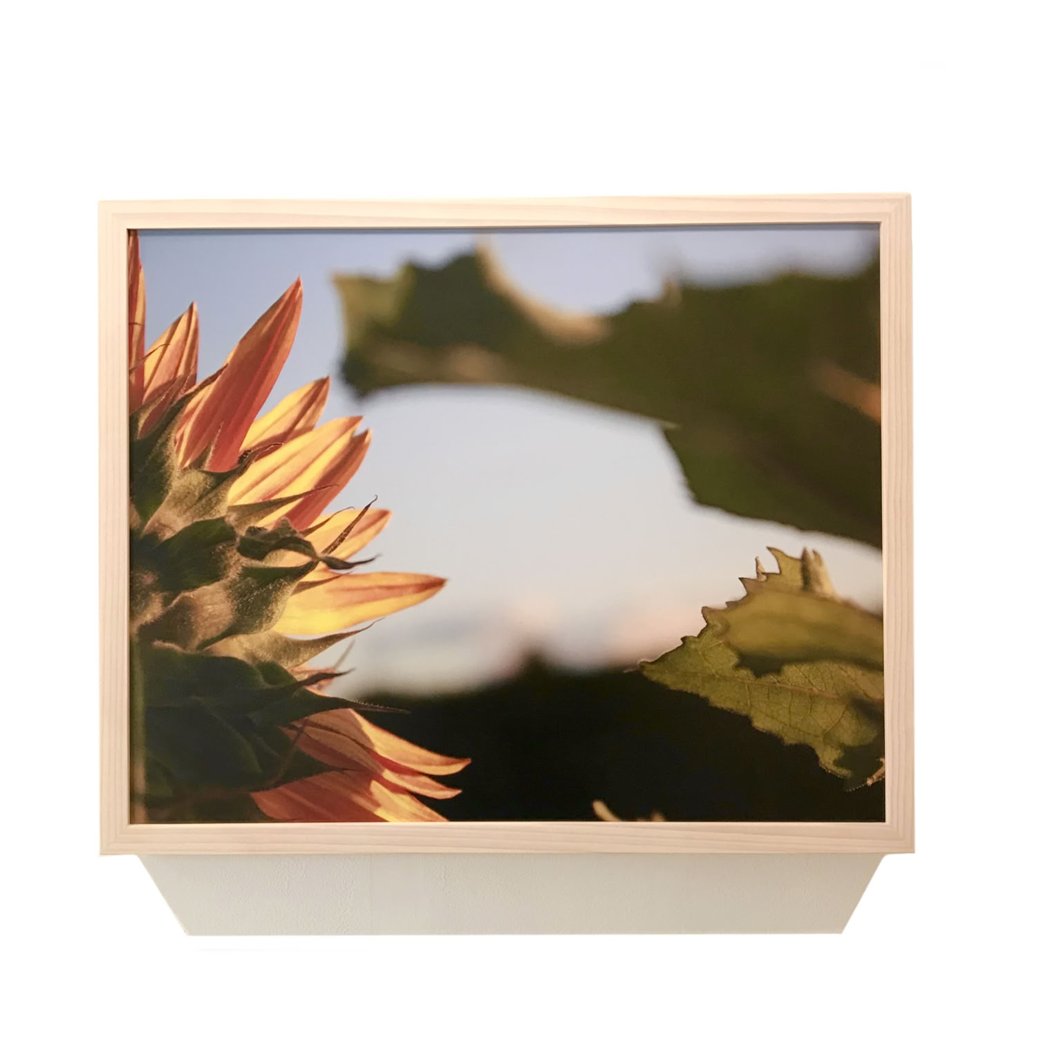 spaulding-dunbar_another-af-sunset