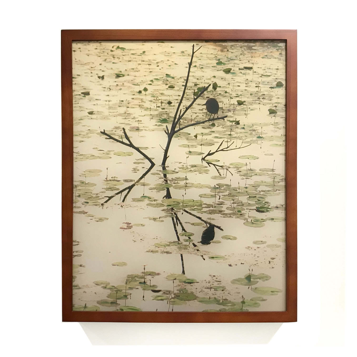 spaulding-dunbar_early bird