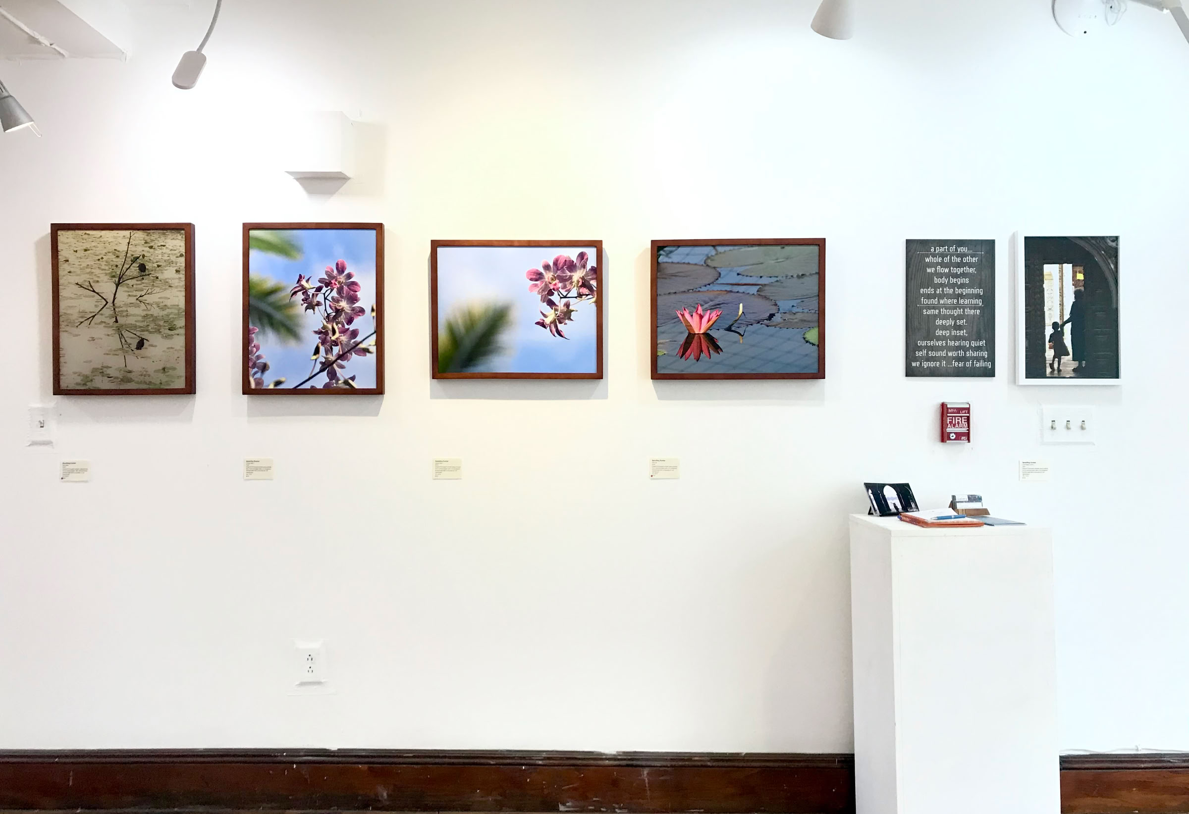 SPAULDING DUNBAR Photo-Poet