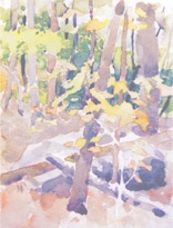 CHARLES W. NORRIS-BROWN Distant Thunder Studio 