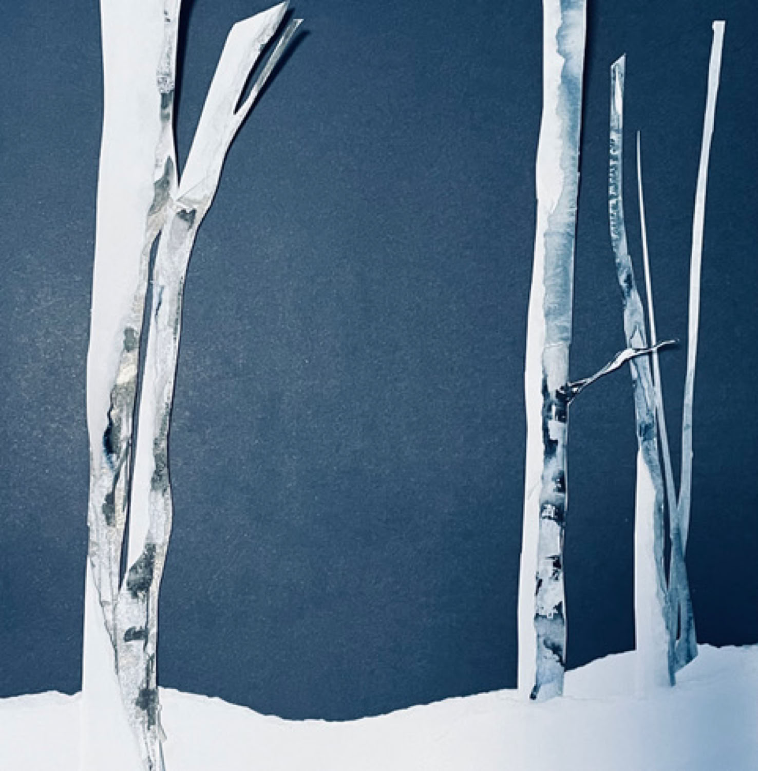 Amy Raab After The Fall