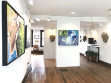 NATURE’S DECONSTRUCTION MC NOYES Paintings & PHYLLIS ROSSER Sculptures