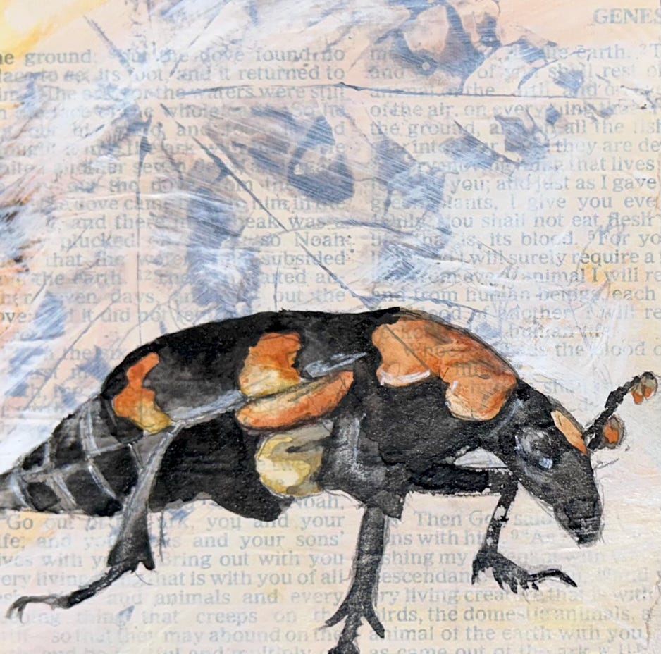 Jeanette Staley American Burying Beetle 2