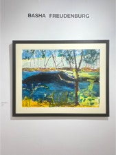 Basha Freudenberg Solo Show