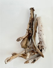 Phyllis Rosser Fully Forth Emerging 