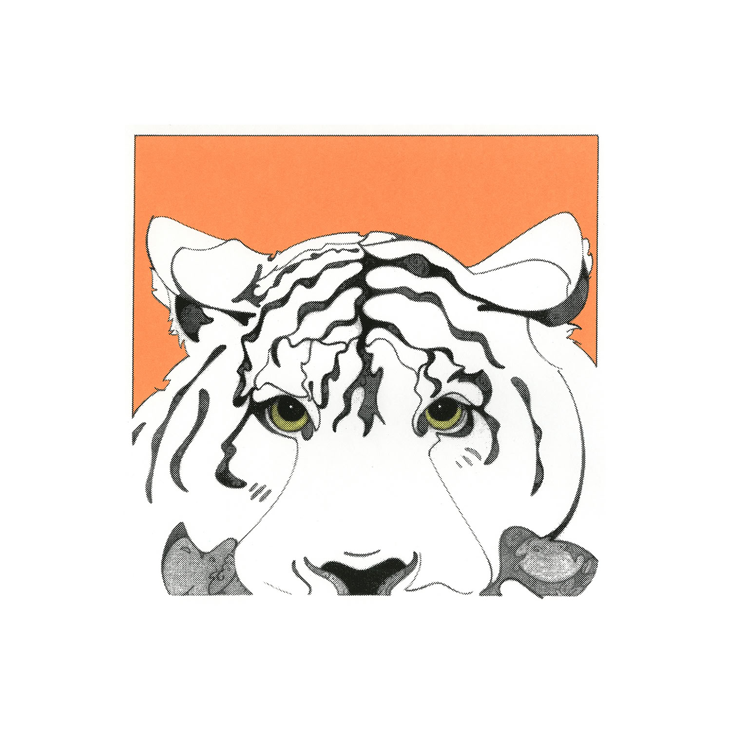 Kathleen Zimmerman Star Series - Morning Star 2023