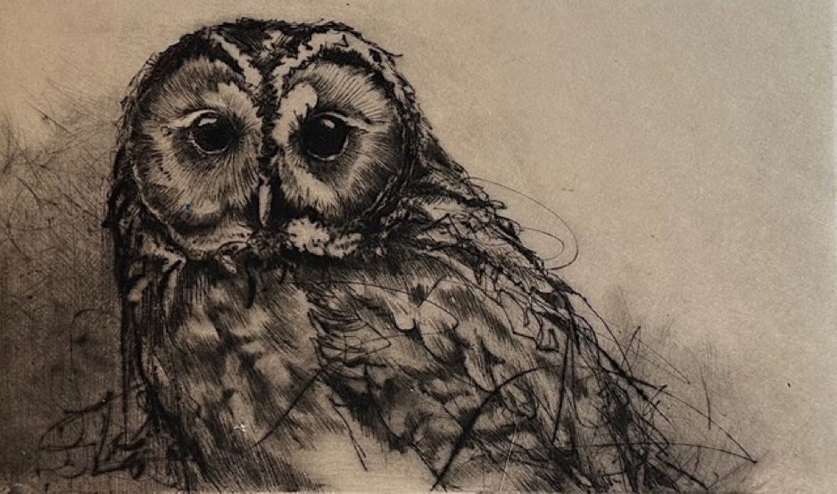 Jennifer Anderson Waiting For You Here (Tawney Owl)