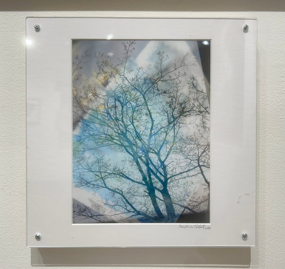 Medora Hebert Spring Reflection 1