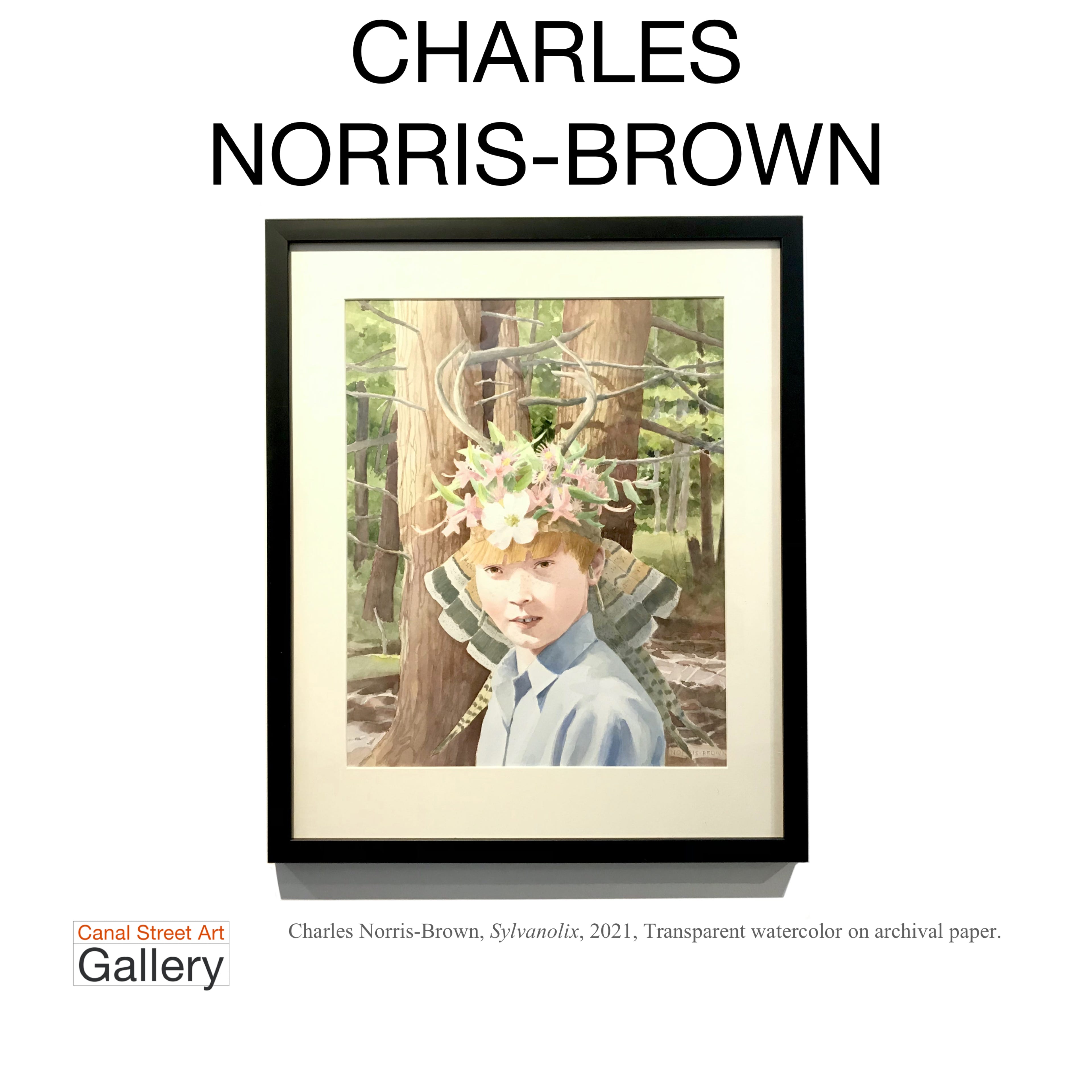 Canal Street Art Gallery Charles Norris-Brown
