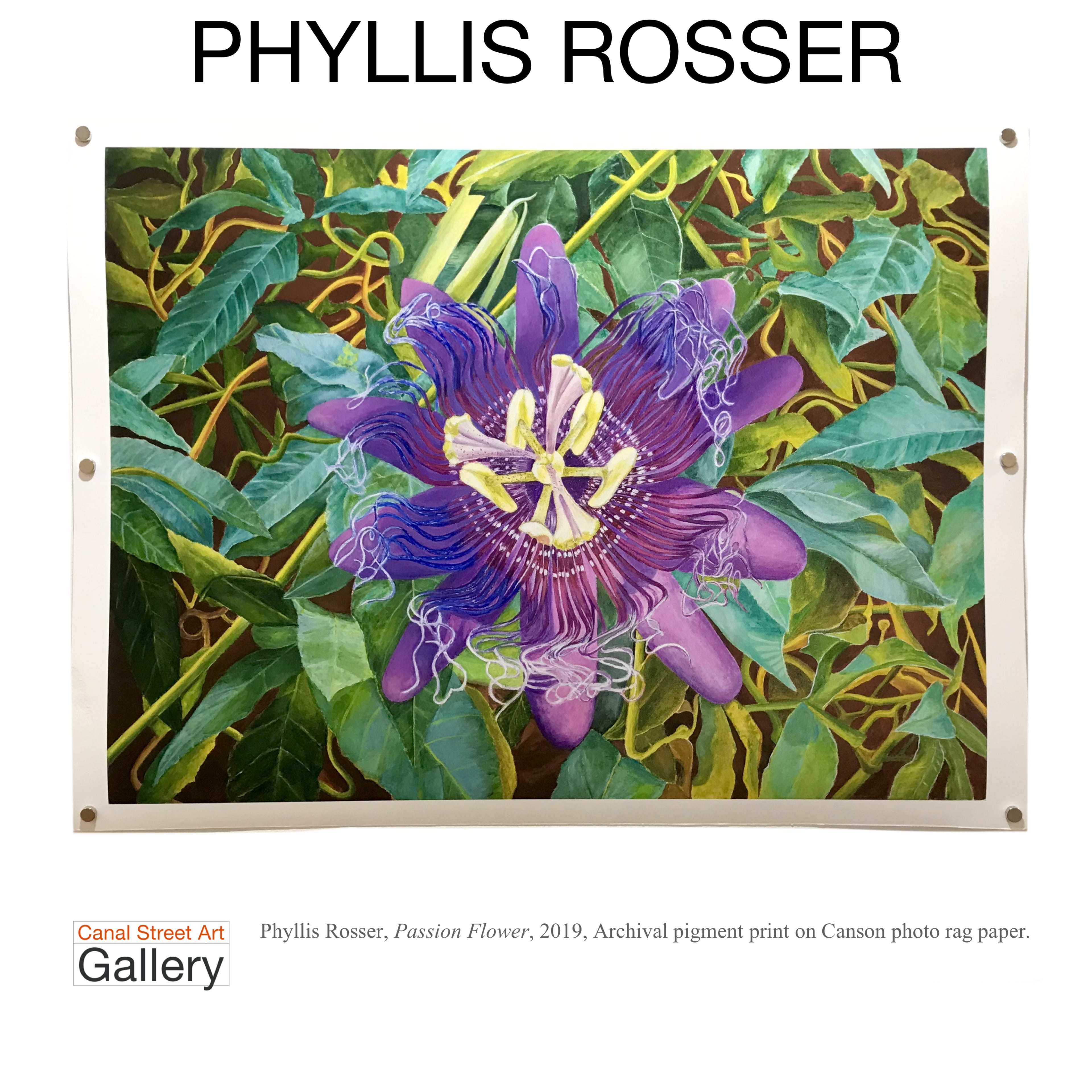 Canal Street Art Gallery Phyllis Rosser