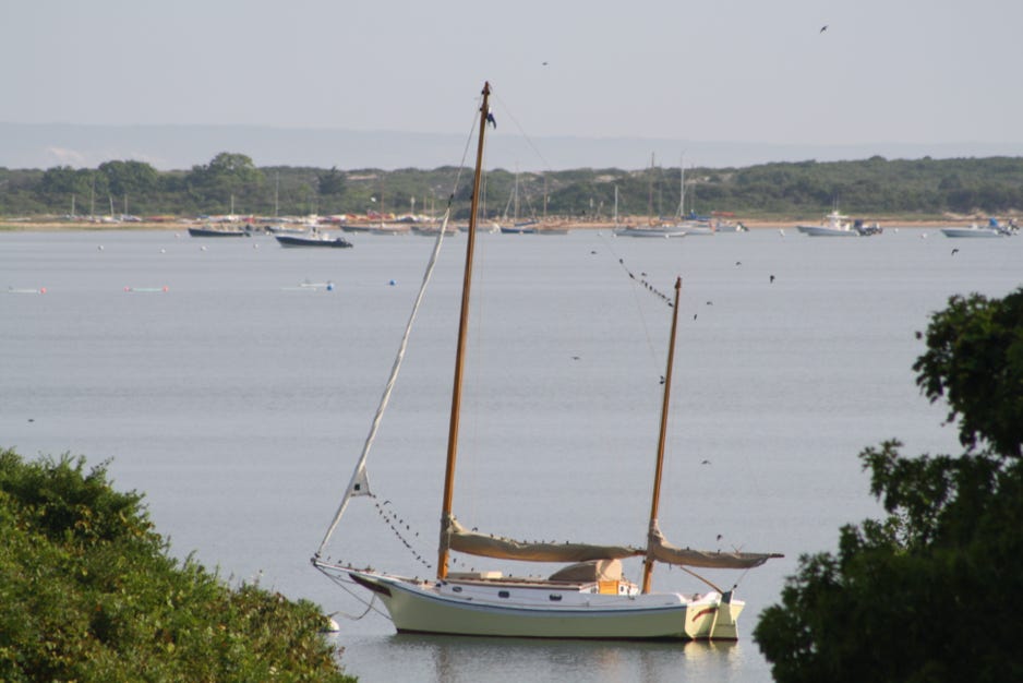 Spaulding Dunbar Menemsha Pond