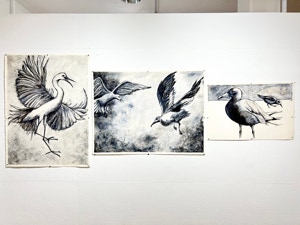 GLASS PASTEL Instalation View 8