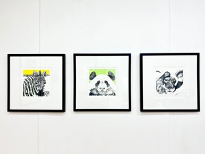 KATHLEEN ZIMMERMAN Solo Spotlight