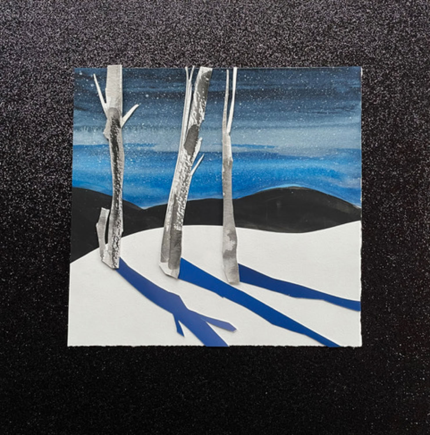 Amy Raab Moon Shadows