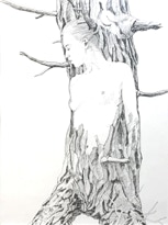 CHARLES W. NORRIS-BROWN Distant Thunder Studio 