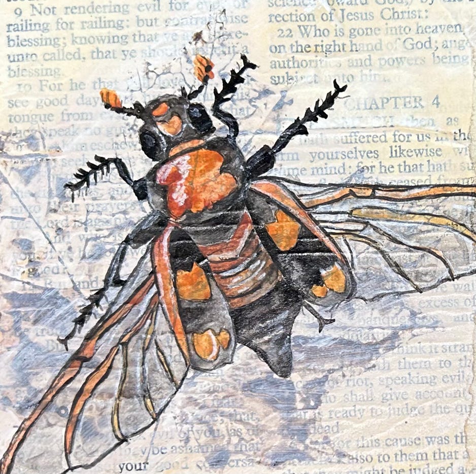 Jeanette Staley American Burying Beetle 4