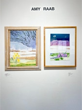 Amy Raabv Solo Show
