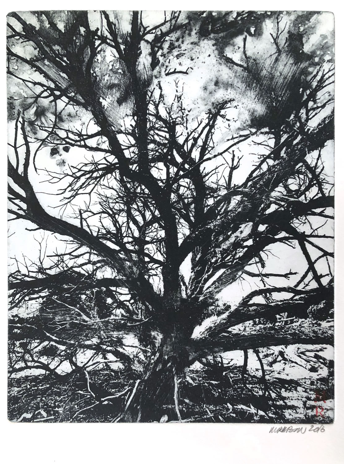 Melissa Rubin Burning Bush #1