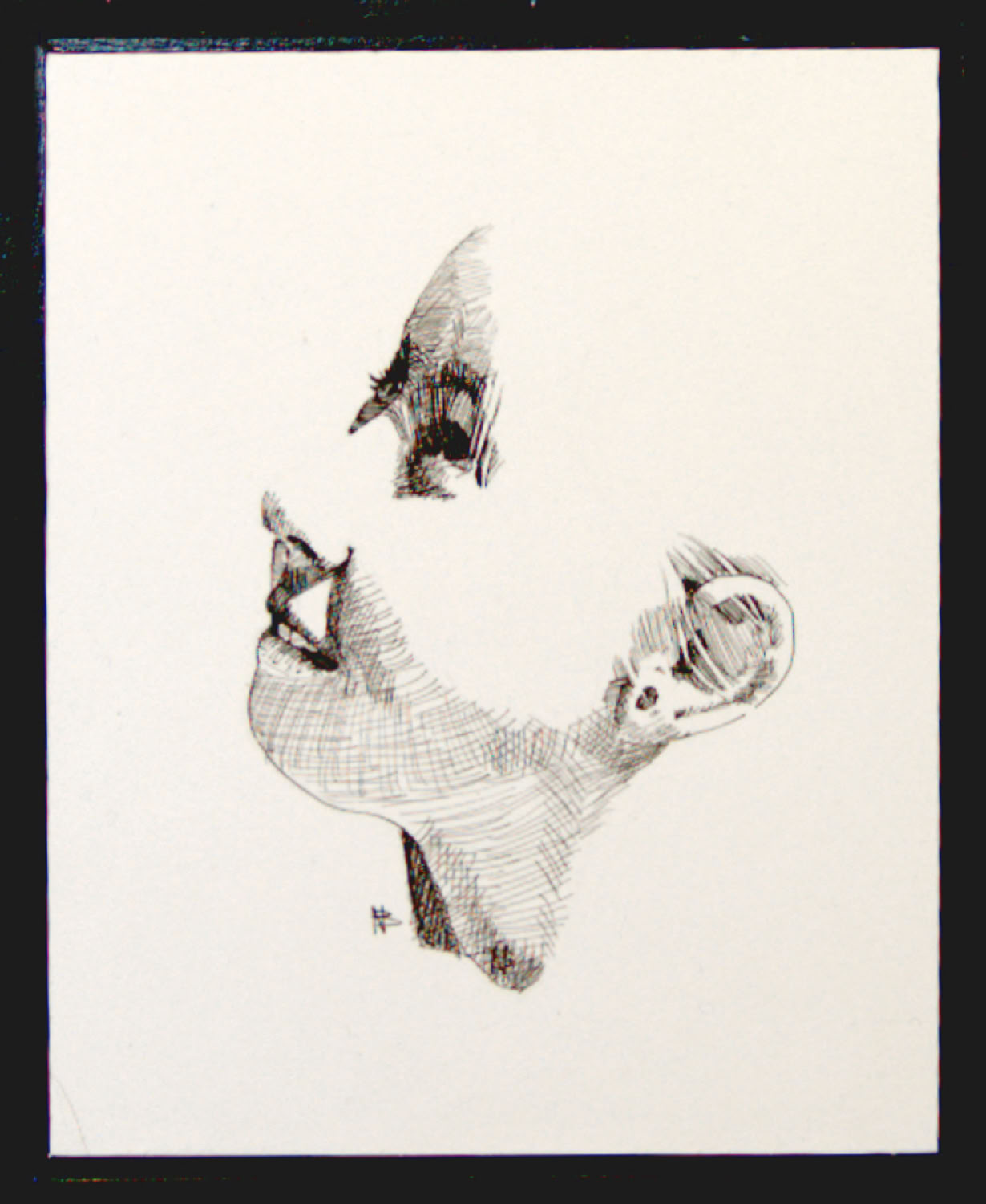 Charles Norris-Brown Looking Up