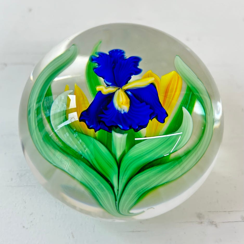 Chris Sherwin Iris and cape cod tulip paperweight, 1 (red accent on yellow flower petals)