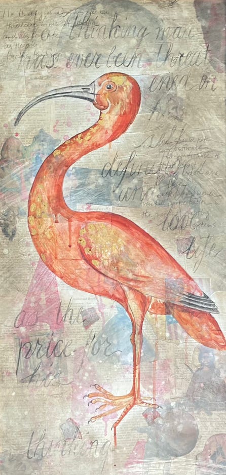 Jeanette Staley Scarlet Ibis