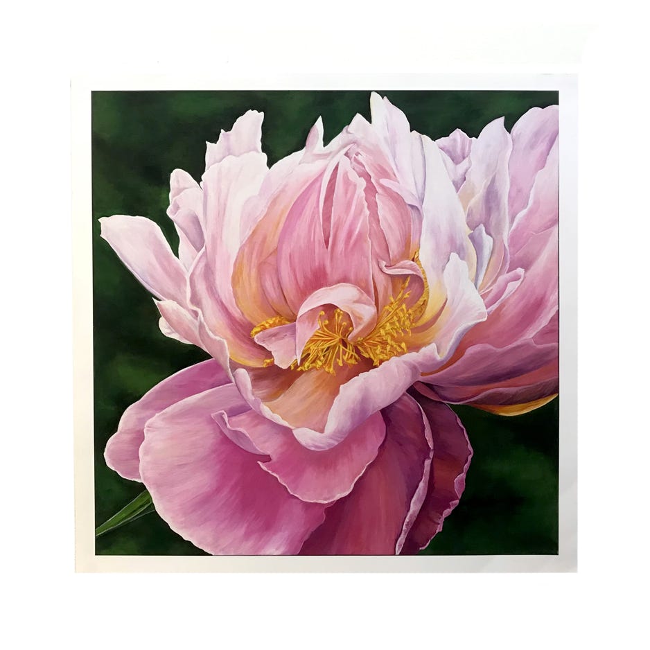 phyllis-rosser_tree-peony