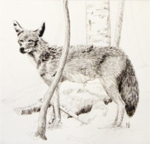 CHARLES W. NORRIS-BROWN Distant Thunder Studio 