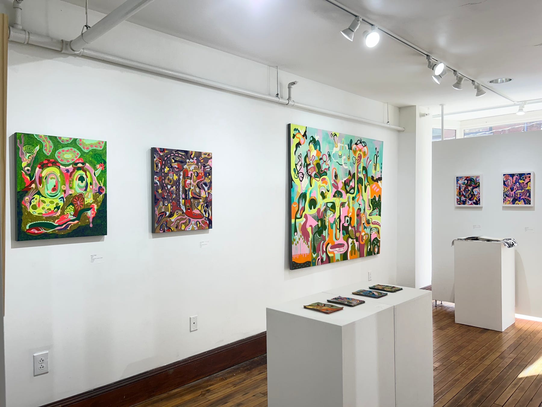 Solo Show Program