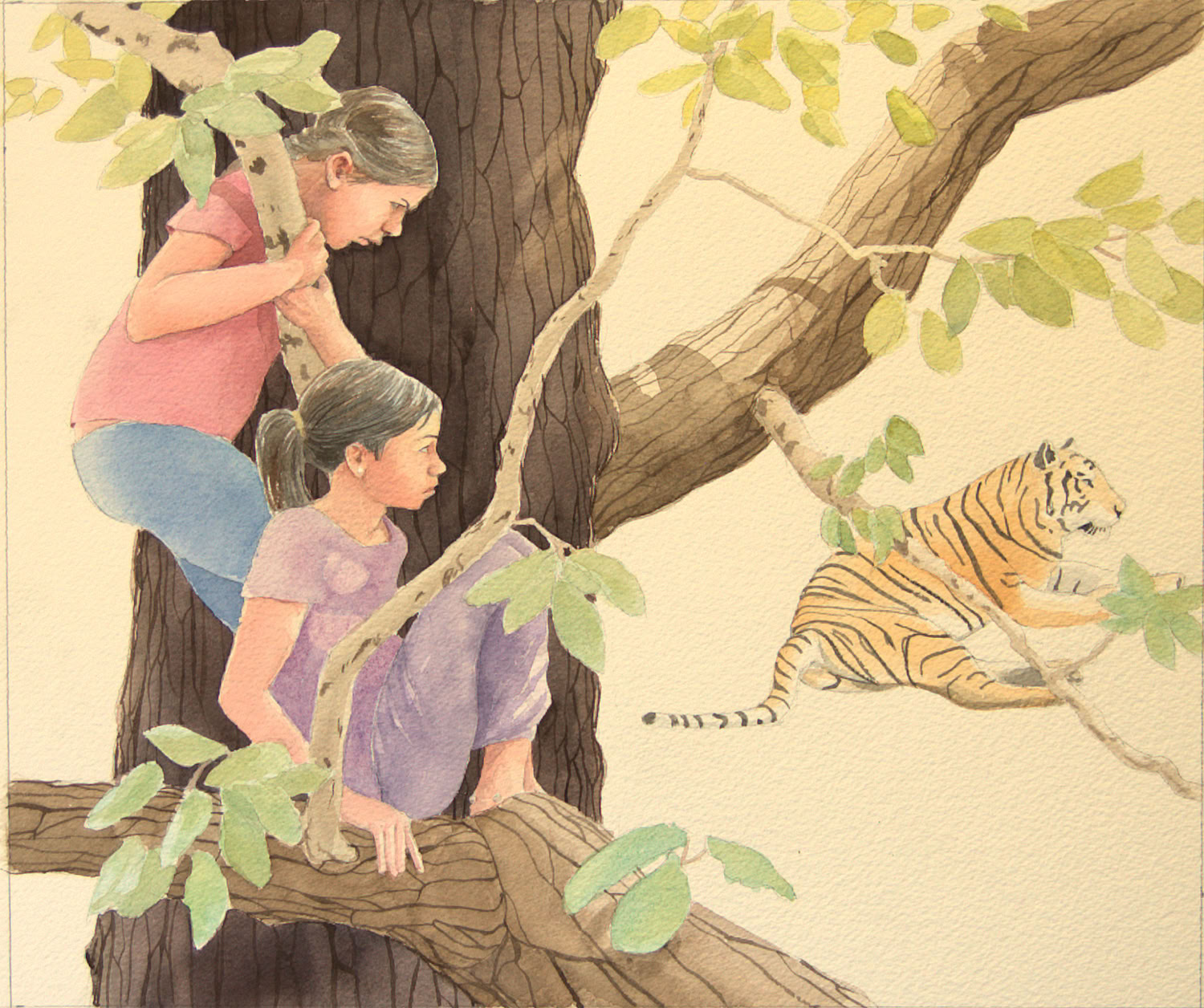 Charles Norris-Brown Did Tiger Take the Rain?, cover 