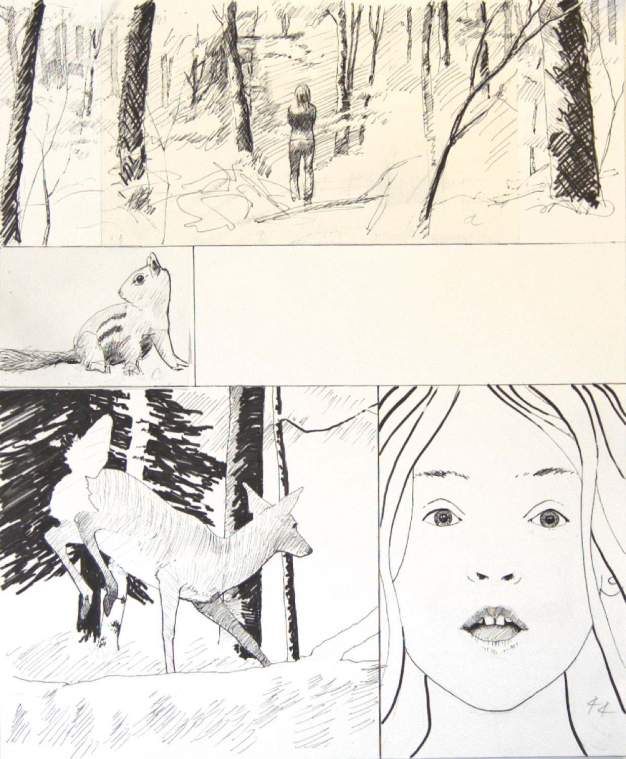 Charles Norris-Brown Thunder Basin, page 44 graphics