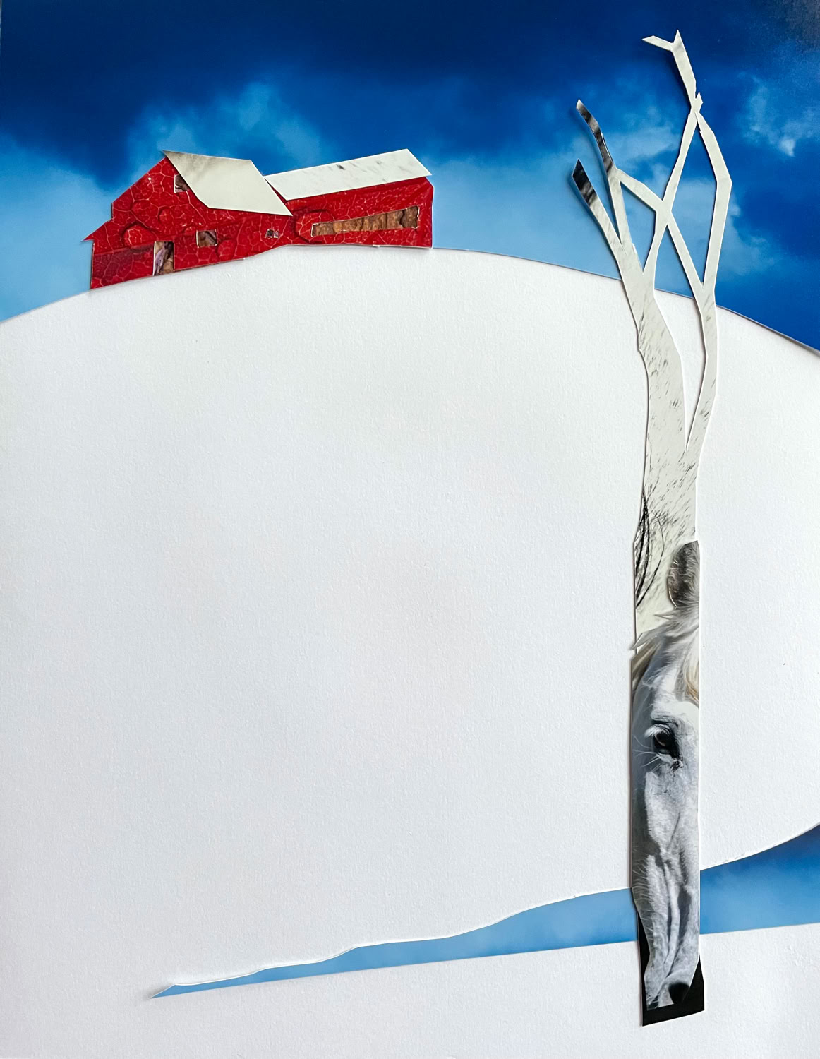 Amy Raab One Horse Hill