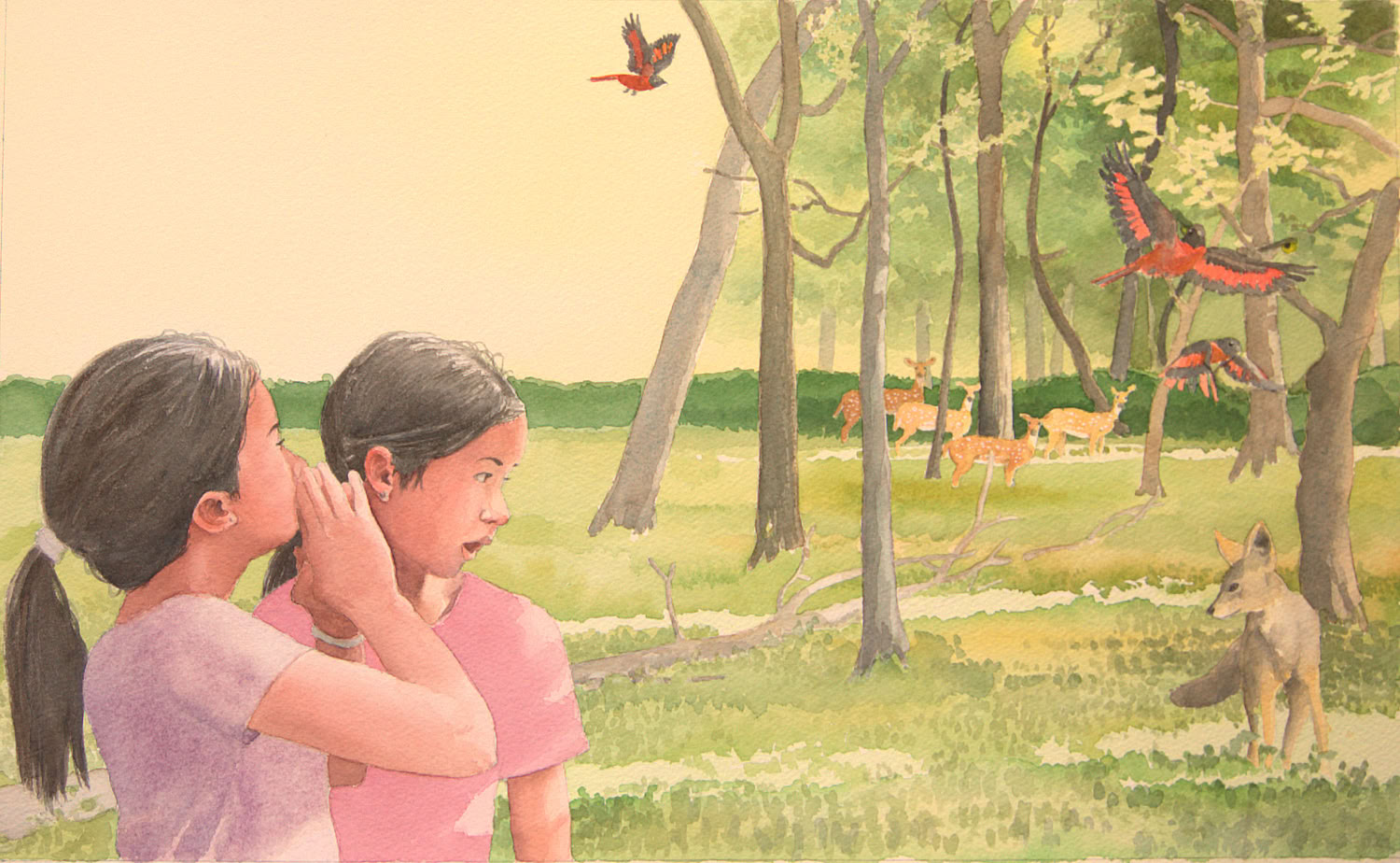 Charles Norris-Brown Did Tiger Take the Rain?, page 12 and 13  