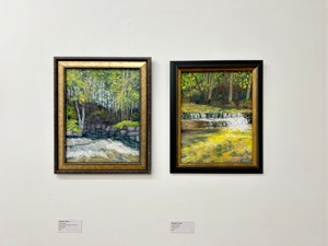 DEEDEE JONES The Ways Of Water