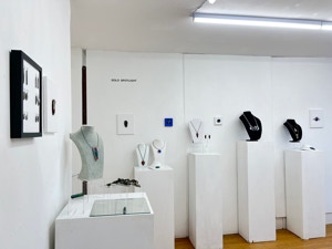 Judi Forman Solo Spotlight