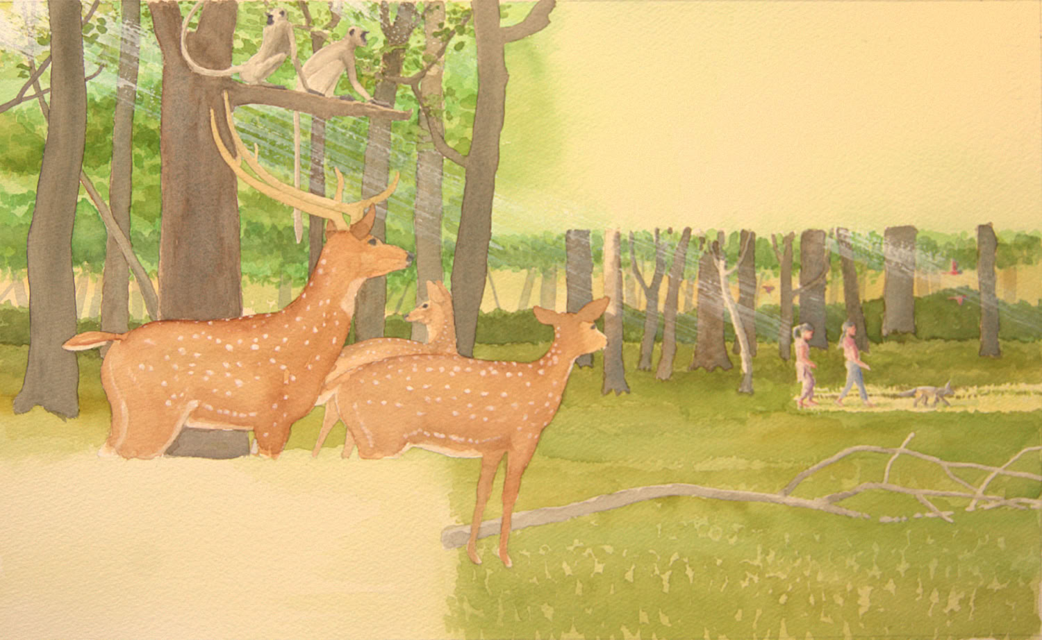 Charles Norris-Brown Did Tiger Take the Rain?, page 14 and 15 