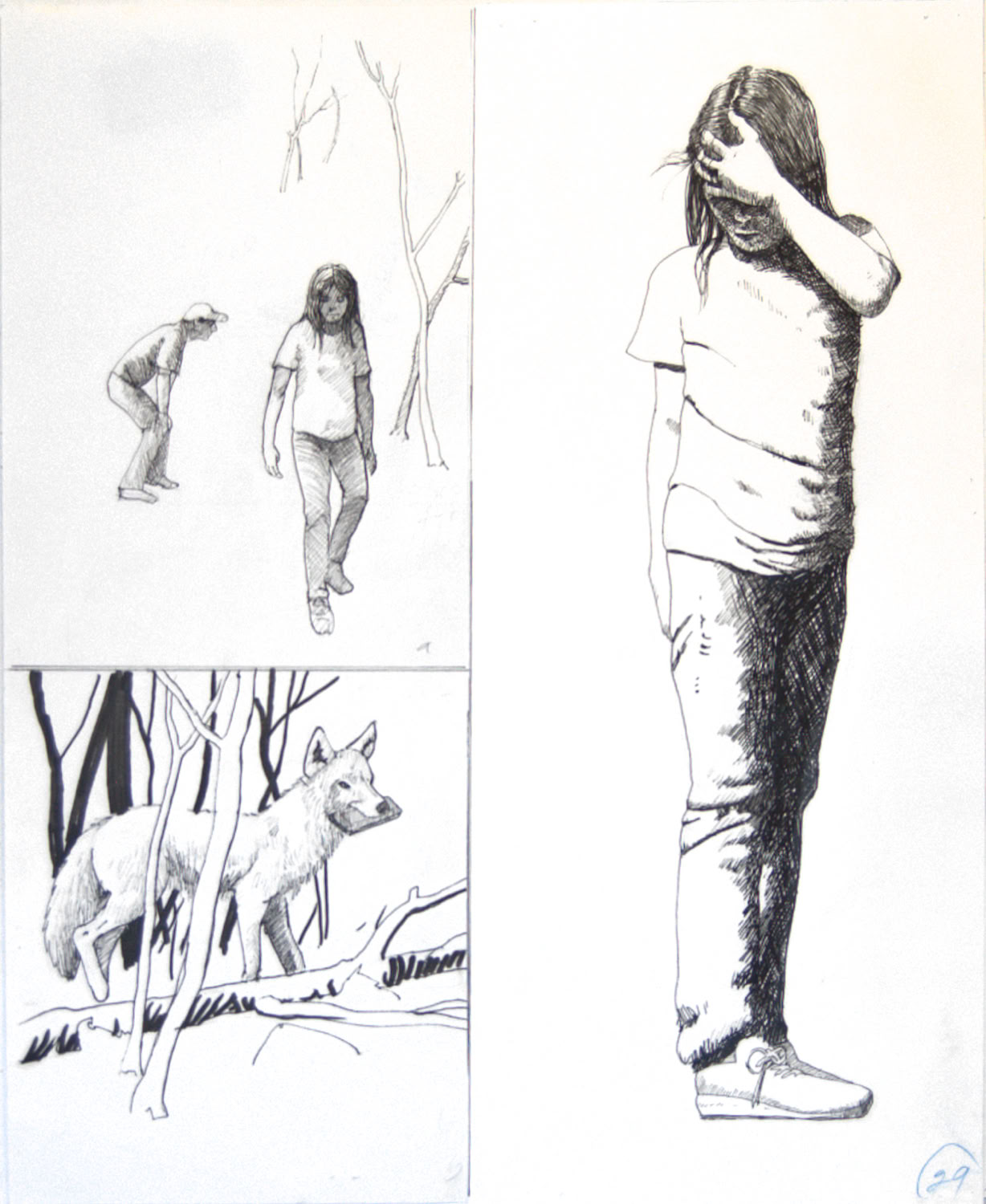 Charles Norris-Brown Thunder Basin, page 29 graphics