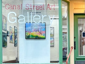 Judy hawkins An Artist's Exploration