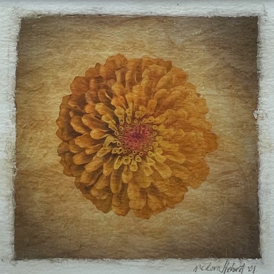 medora-hebert_orange-zinnia