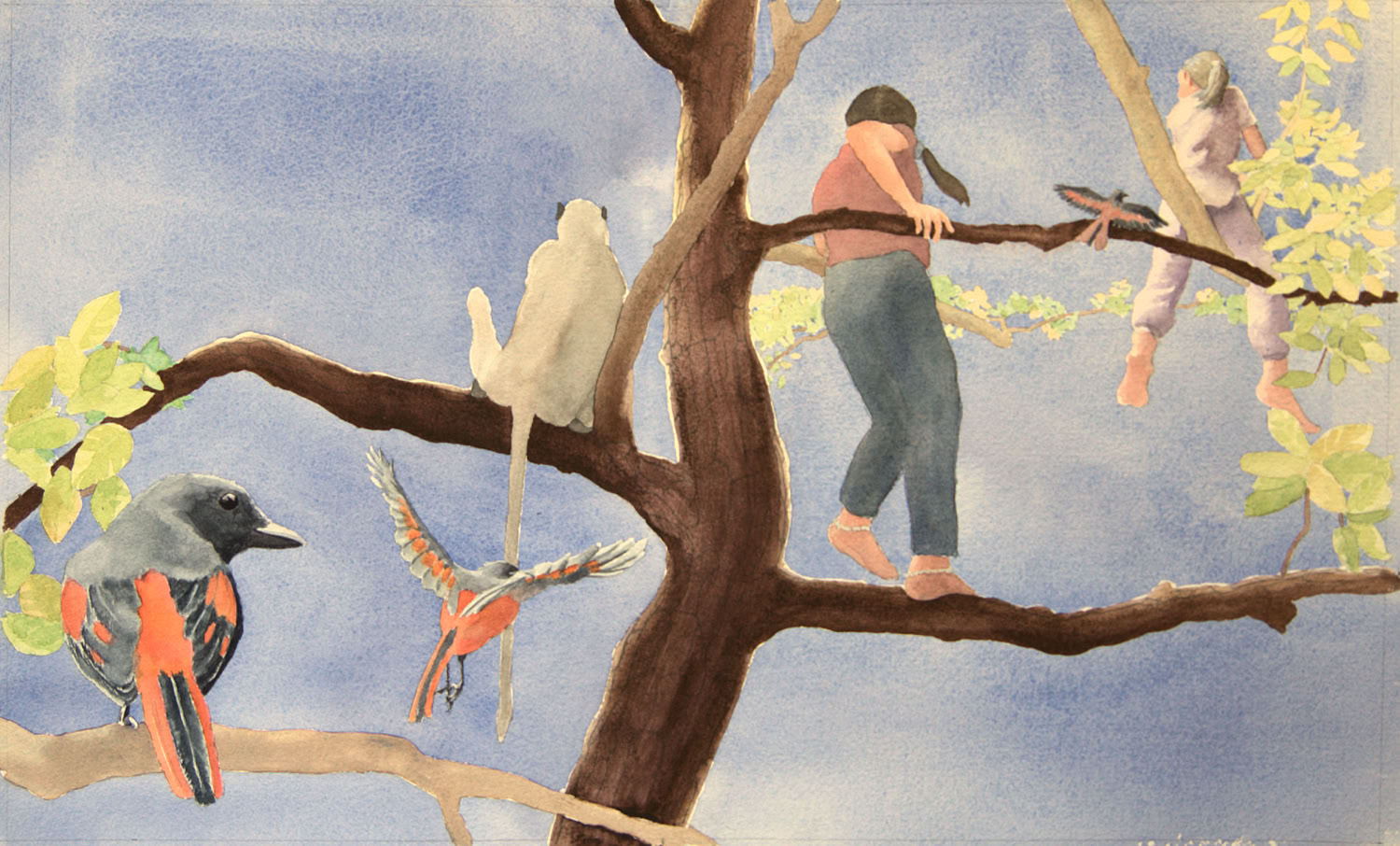 Charles Norris-Brown Did Tiger Take the Rain?, page 20 and 