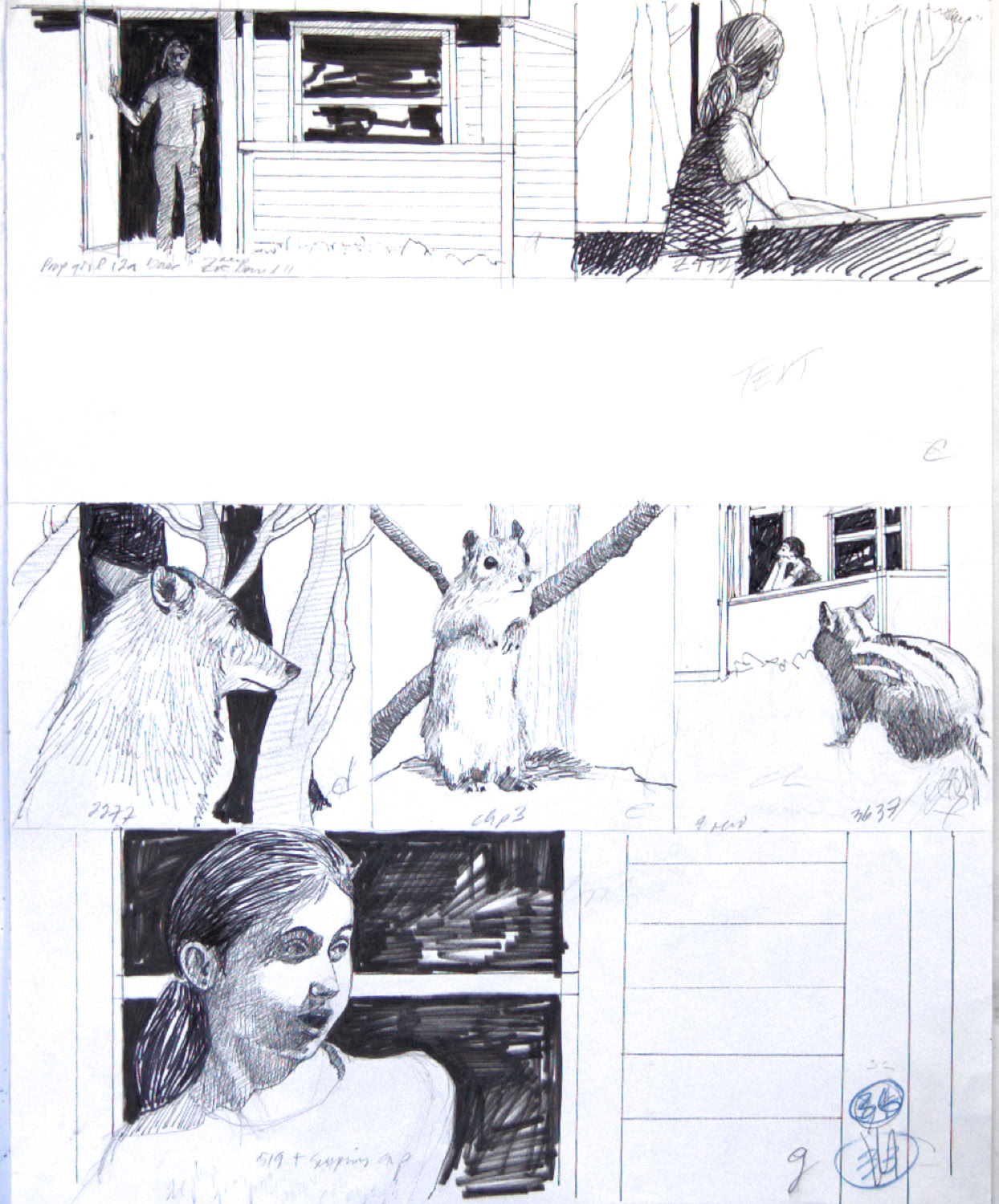 Charles Norris-Brown Thunder Basin, page 36 graphics