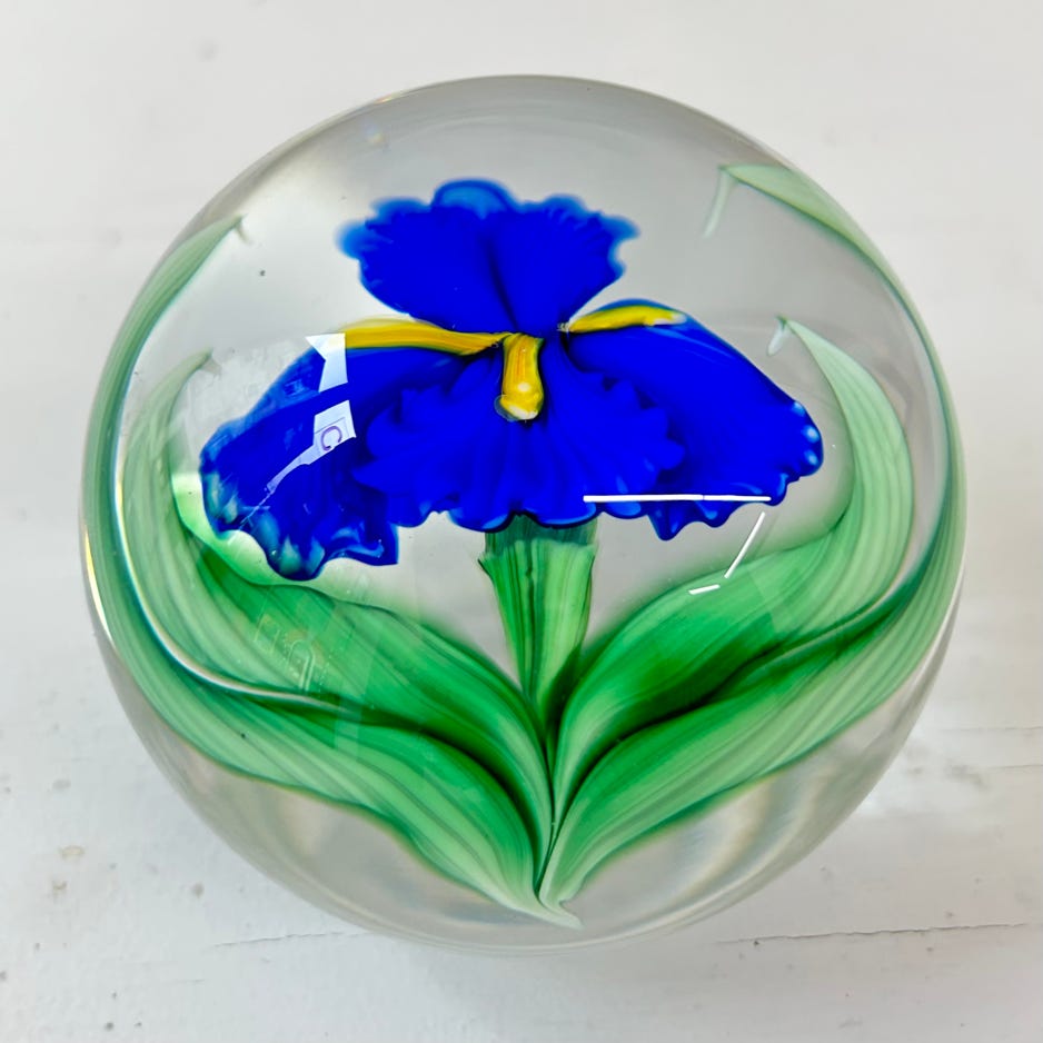 Chris Sherwin Iris paperweight