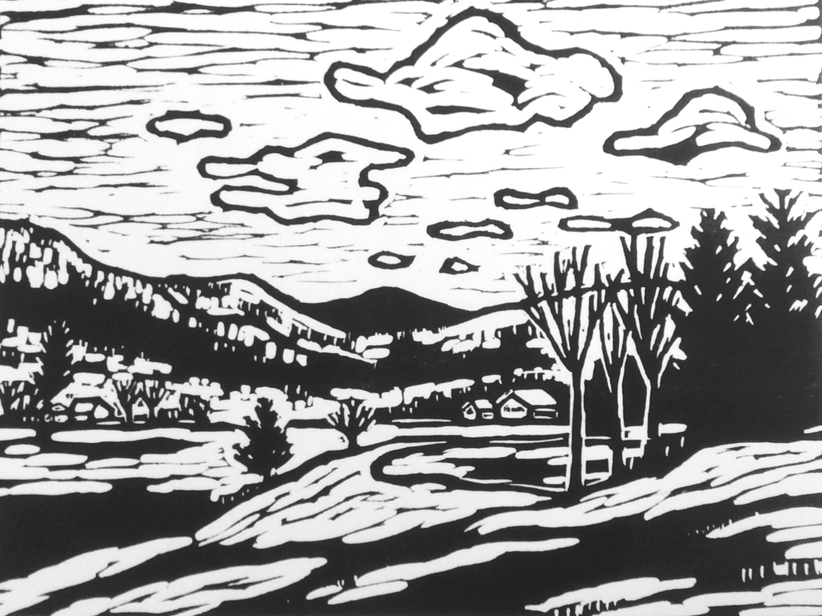 Clare Adams Grafton Ponds 2023